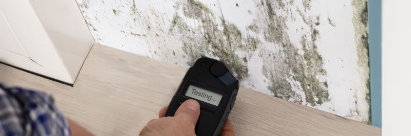 Lead And Mold Testing