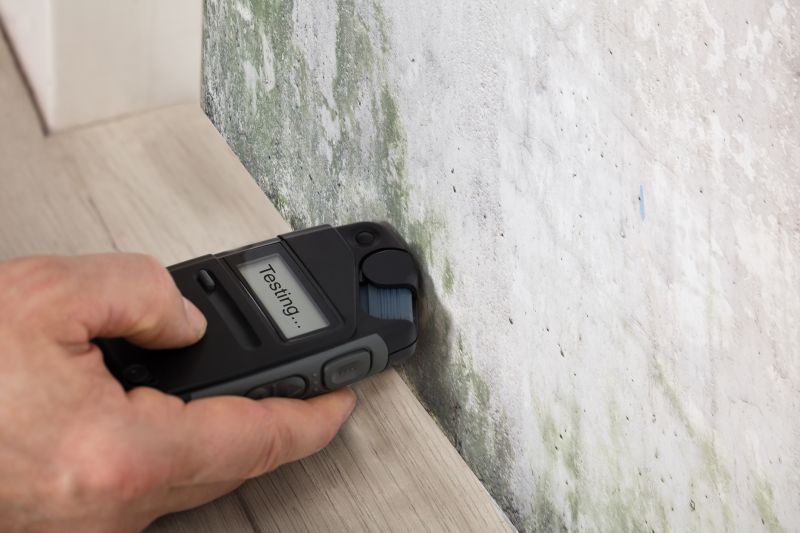 Lead and Mold Testing Costs — Cost of Lead And Mold Testing