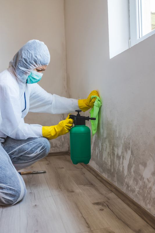 Lead and Mold Testing Costs — Cost of Lead And Mold Testing