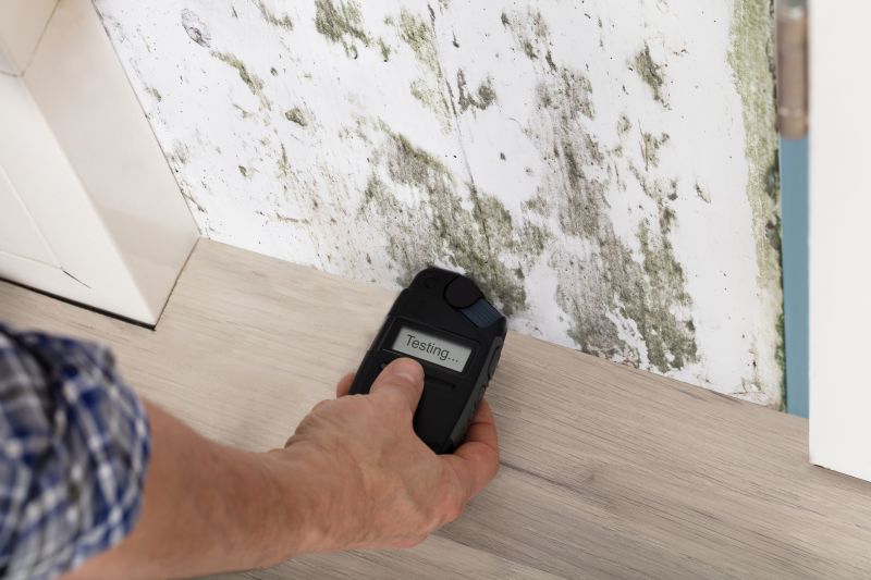 Lead and Mold Testing Costs — Cost of Lead And Mold Testing