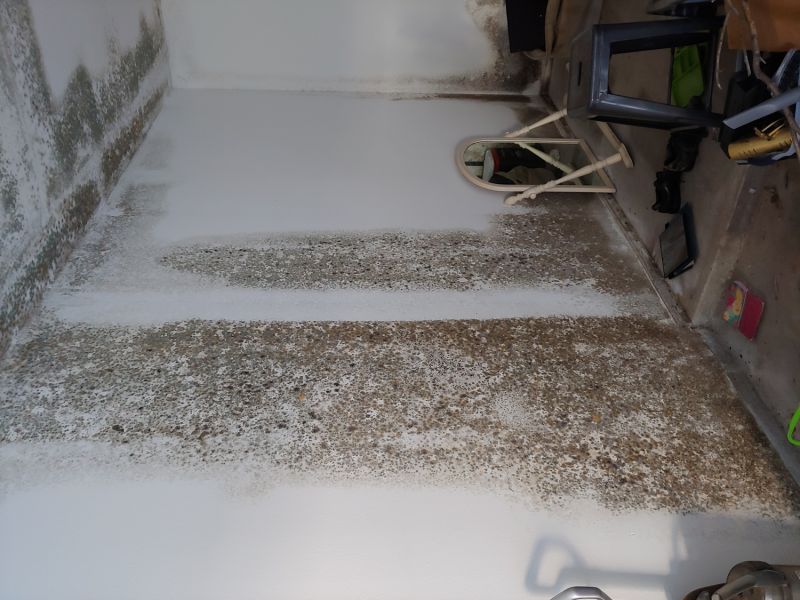 Mold Growth Indicators